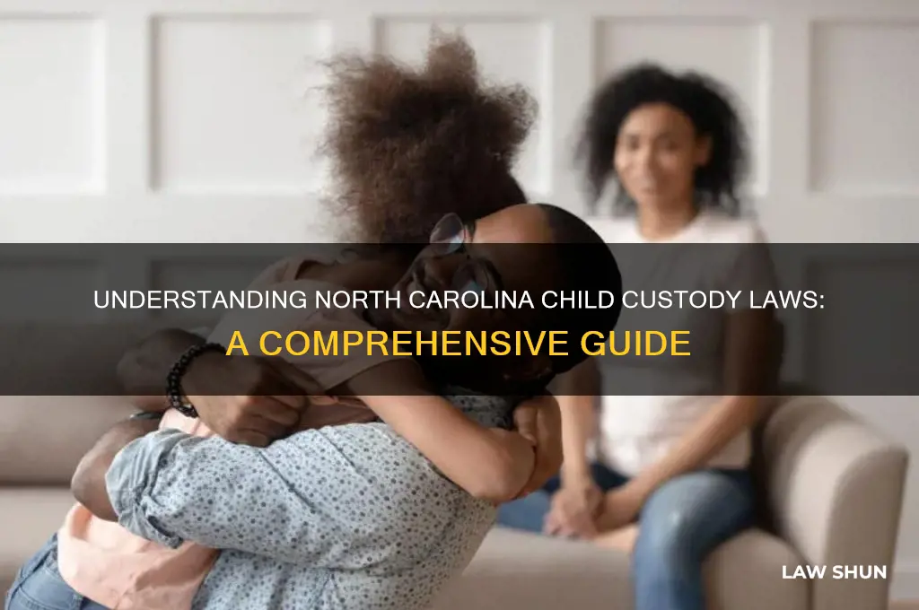 what are the child custody laws in north carolina