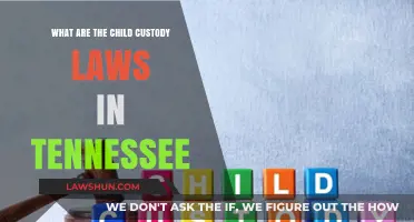 Understanding Tennessee's Child Custody Laws: A Comprehensive Guide for Parents