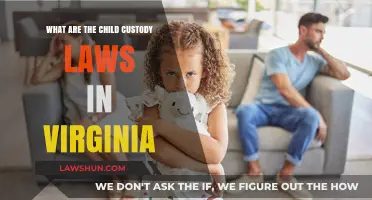 Understanding Virginia's Child Custody Laws: A Comprehensive Guide for Parents