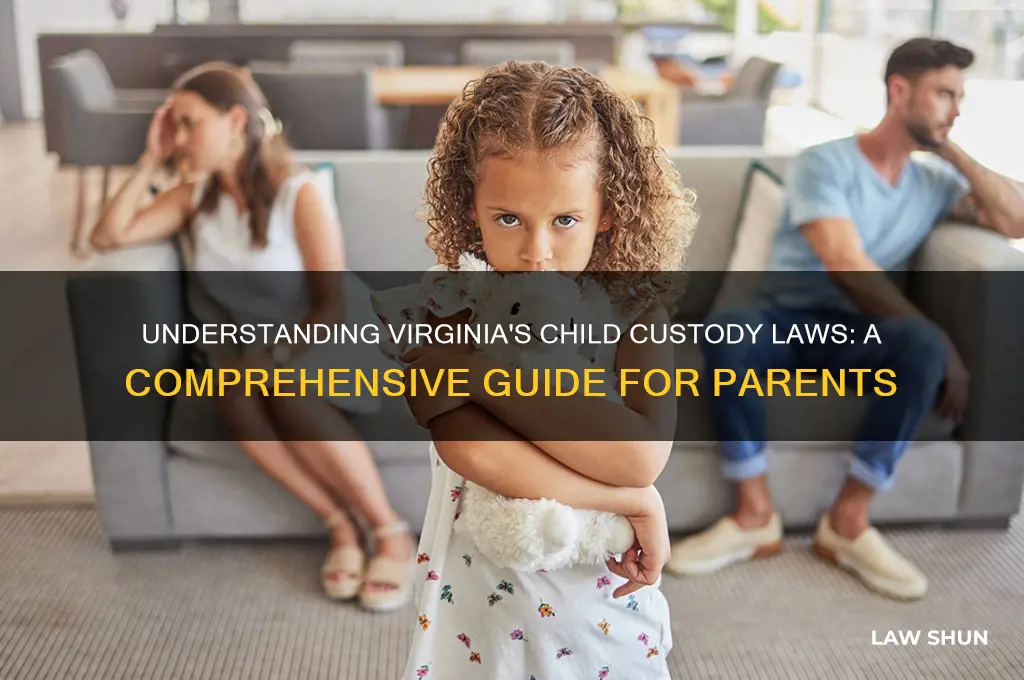 what are the child custody laws in virginia