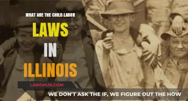 Understanding Illinois Child Labor Laws: Protections, Regulations, and Compliance