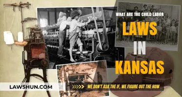 Understanding Kansas Child Labor Laws: Protections, Regulations, and Compliance