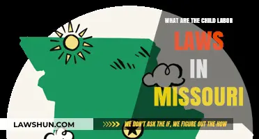 Understanding Missouri's Child Labor Laws: Rights, Regulations, and Protections