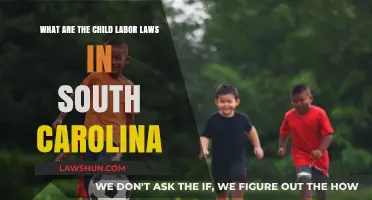 Understanding South Carolina's Child Labor Laws: Rights, Restrictions, and Protections