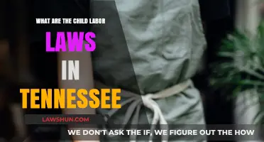 Understanding Tennessee's Child Labor Laws: Protections and Regulations Explained