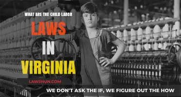 Understanding Virginia's Child Labor Laws: Protections and Regulations Explained