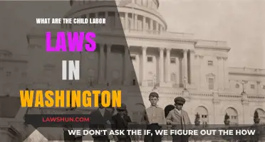 Understanding Washington State's Child Labor Laws: Rights, Rules, and Protections
