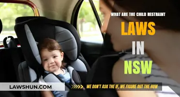 NSW Child Restraint Laws: Essential Rules for Safe Travel