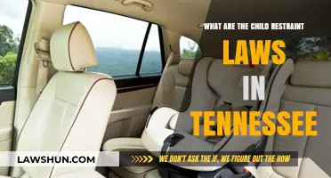 Tennessee Child Restraint Laws: What Parents Need to Know