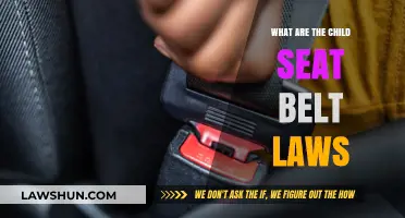 Understanding Child Seat Belt Laws: Safety Requirements for Young Passengers