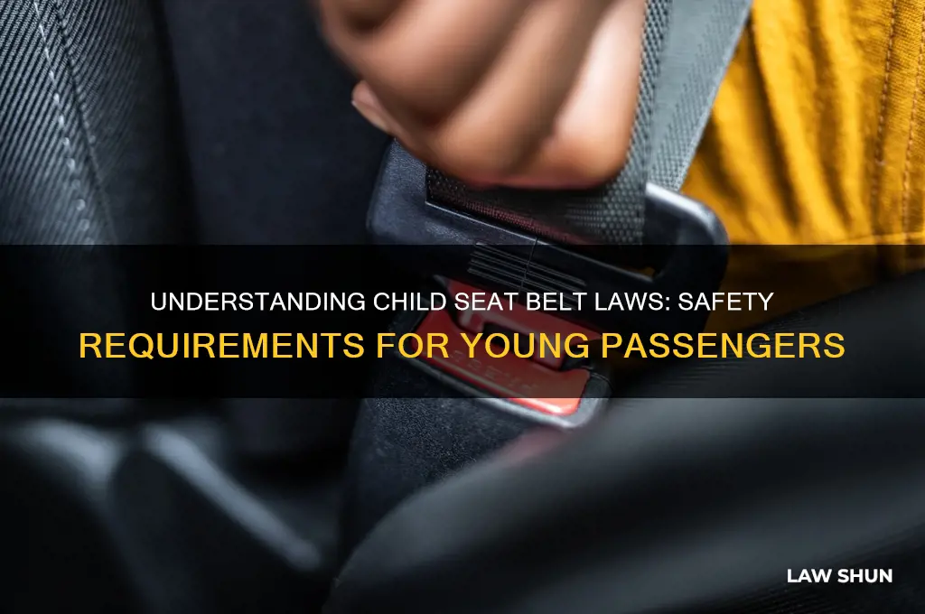 what are the child seat belt laws