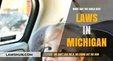Michigan Child Seat Laws: What Parents Need to Know
