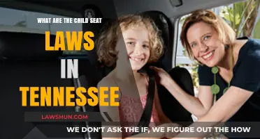 Tennessee Child Seat Laws: Understanding Safety Requirements for Kids