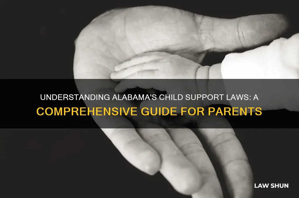 what are the child support laws in alabama