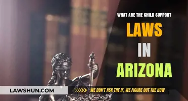 Understanding Arizona Child Support Laws: Guidelines, Calculations, and Enforcement