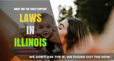 Understanding Illinois Child Support Laws: Guidelines, Calculations, and Obligations