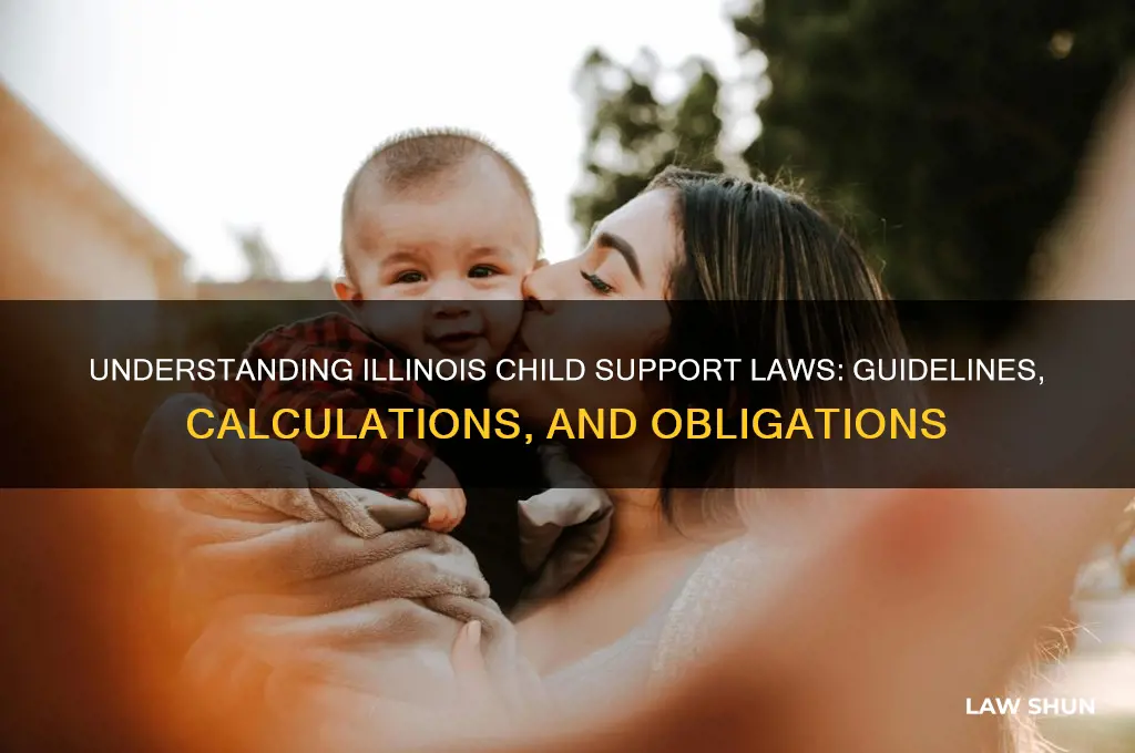 what are the child support laws in illinois