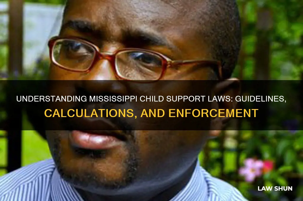 what are the child support laws in mississippi