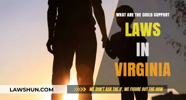 Understanding Virginia's Child Support Laws: A Comprehensive Guide for Parents