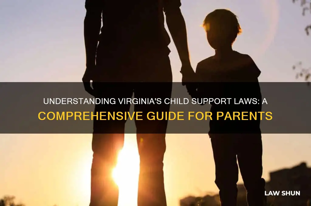 what are the child support laws in virginia