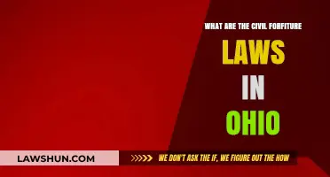 Understanding Ohio's Civil Forfeiture Laws: What You Need to Know