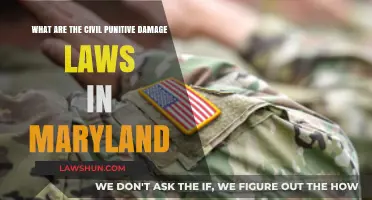 Understanding Maryland's Civil Punitive Damage Laws: Key Rules and Limits