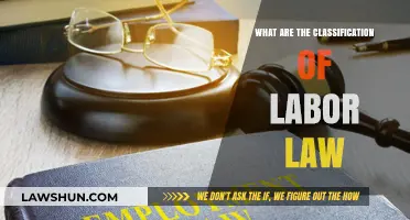 Understanding Labor Law: Key Classifications and Their Impact on Workers
