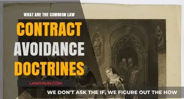 Key Contract Avoidance Doctrines in Common Law