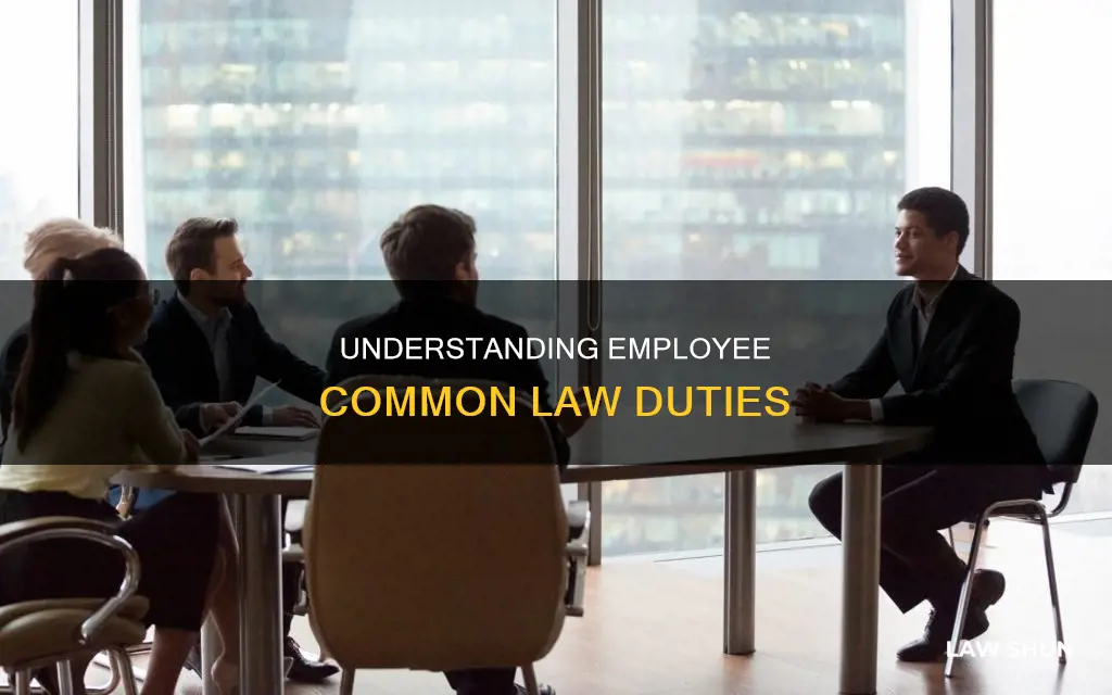what are the common law duties of an employee