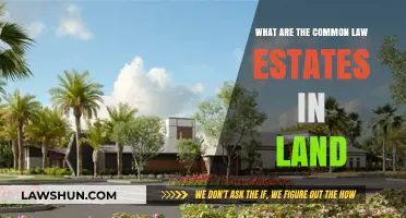 Understanding Common Law Estates in Land