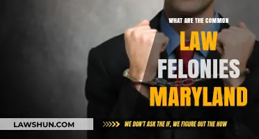Maryland's Common Law Felonies: What You Need to Know