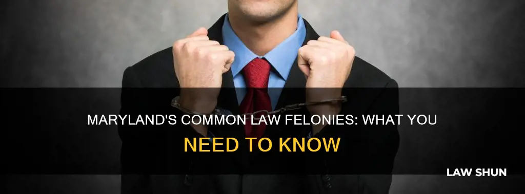 what are the common law felonies maryland