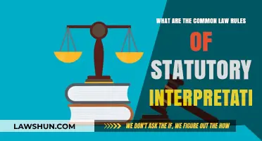 Key Principles of Interpreting Statutes