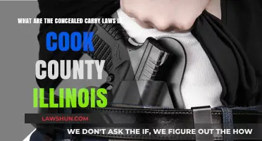 Concealed Carry Laws in Cook County, Illinois: What You Need to Know