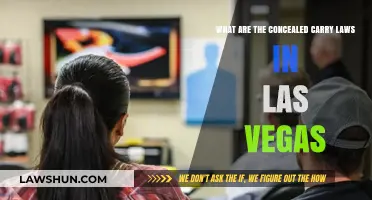 Concealed Carry Laws in Las Vegas: What You Need to Know