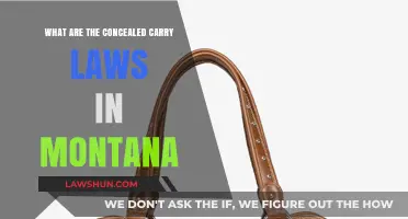 Montana's Concealed Carry Laws: Understanding Your Rights and Responsibilities