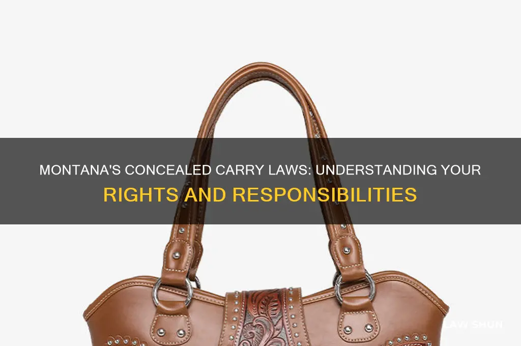 what are the concealed carry laws in montana