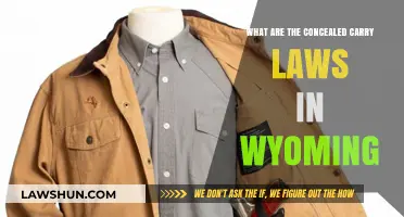 Wyoming Concealed Carry Laws: Understanding Your Rights and Responsibilities