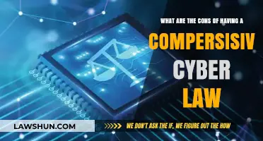 Comprehensive Cyber Laws: Unintended Consequences and Potential Drawbacks Explored