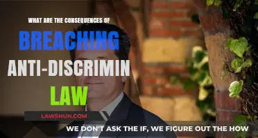 Breaching Anti-Discrimination Laws: Legal, Financial, and Reputational Consequences Explained