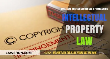 Breaching Intellectual Property Law: Severe Consequences for Businesses and Individuals