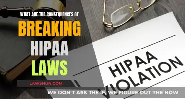 HIPAA Law Violations: Understanding the Grave Repercussions