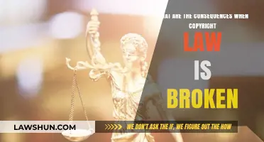 Breaking Copyright Law: Severe Consequences for Creators and Businesses