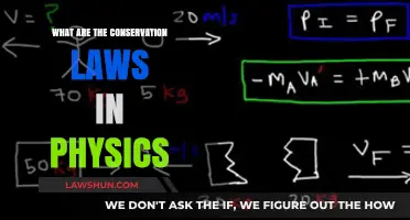Understanding Physics: Exploring the Fundamental Conservation Laws