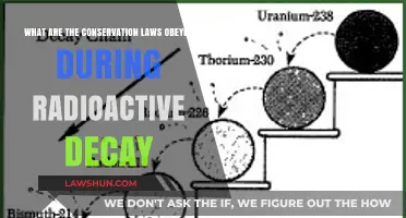 Conservation Laws Governing Radioactive Decay Processes Explained