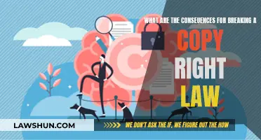 Consequences of Breaking Copyright Law: What You Need to Know