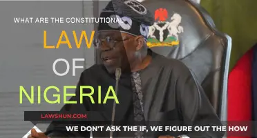 Nigerian Constitution: Understanding the Law of the Land