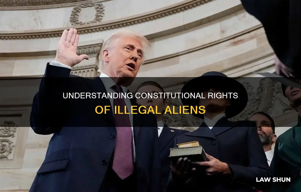 what are the constitutional laws on illegal aliens