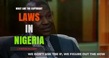 Understanding Nigeria's Copyright Laws: Rights, Protections, and Enforcement Explained