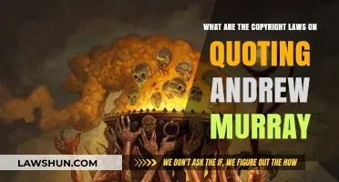 Quoting Andrew Murray: Understanding Copyright Laws and Fair Use Guidelines